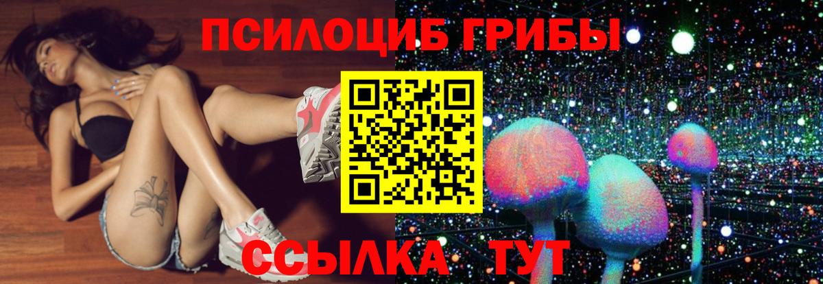 Псилоцибиновые грибы Psilocybine cubensis  Вход с VPN  Луховицы 